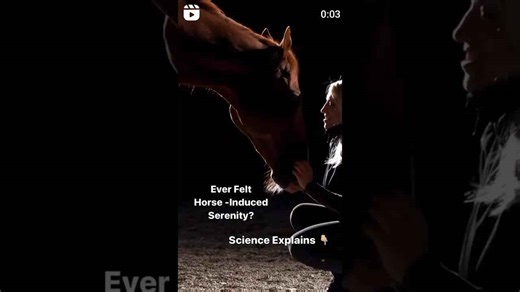 Horse-Induced Serenity: Science Explains the Calming Effect
