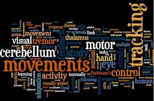 Closed Motor Skills vs. Open Motor Skills