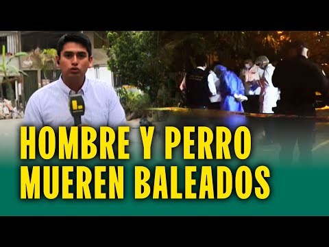 "Doki salió en defensa del padre de familia": Sicarios asesinan a comerciante y a perro del barrio
