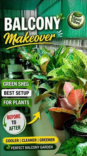 Balcony Makeover for Plants 🌿 | Green Shade Setup | Before After Transformation