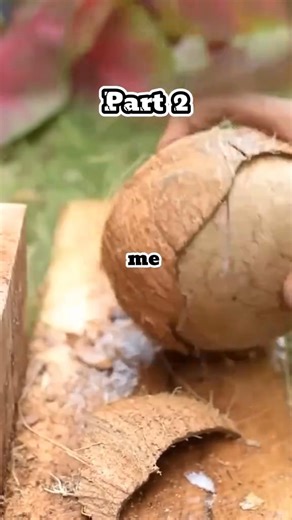 3.6K views | My parents said I wasn't welcome at Easter. You always make things tense.The next day, I got a Cash App request $5.40, your share of the catered brunch.I sent back $5.40 with a note Didn't | Amaya Diaz | Facebook