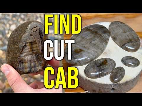 I Crafted Petrified Wood Cabochons... (Beautiful Results!)