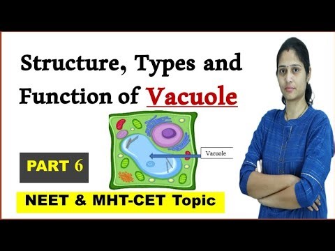 Vacuole | Structure, Function, Types of vacuole | NEET | MHT-CET | Cell biology
