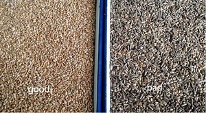 [Hot Item] High Quality Wheat Color Sorter Separation Machine