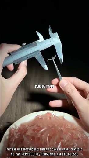 👀 Jne nouvelle façon de manger le pamplemousse (cc: bruhzen)