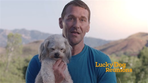 4.1K views · 337 reactions | Compassionate adopters opened up their hearts  to these dogs with special needs, and in return, they received so much love. Watch Lucky Dog Reunions today, on CBS. | Lucky Dog | Facebook