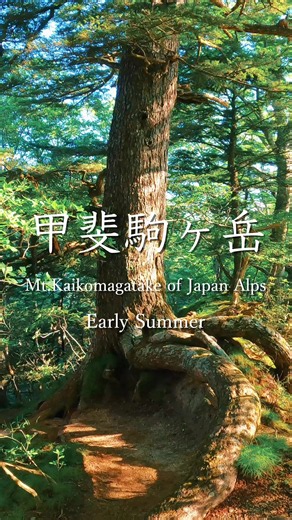 甲斐駒ヶ岳（南アルプス・黒戸尾根）登山ガイド — 6月中旬の見どころ