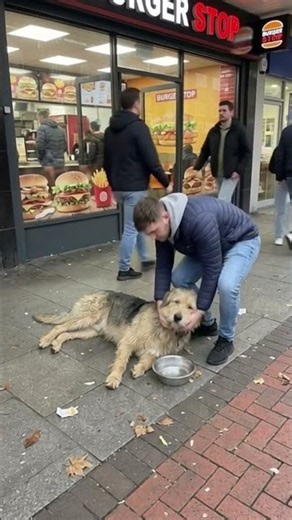 A dog starts choking on a plastic bottle left on the street.