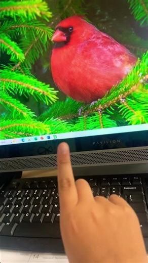 got board so I asked if I can use my phone and the teacher said yes.this is the computer lab.#funny