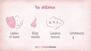 ::: 2 MES de Embarazo ::: ¡El corazón de tu bebé empieza a latir! ❤️👇👇#ResumenSemanas * Síguenos en Youtube: https://goo.gl/bhioi2 | Embarazo & Bebés