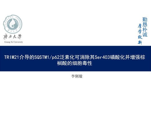 2024.12.24TRIM21介导的SQSTM1/p62泛素化可消除其Ser403磷酸化并增强棕榈酸的细胞毒性文献汇报