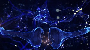clip-1081989491-neurons-neural-connections-3d-render-neuronal-activity