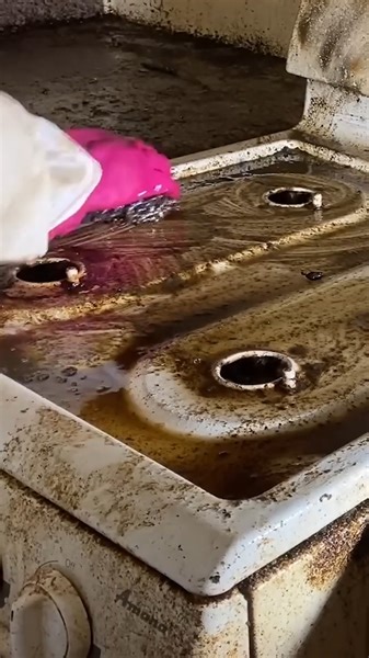 Free Cleaning for a 74-Year-Old Lady | Clean with Barbie