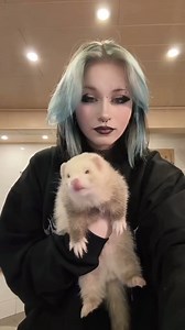 It’s their favorite enrichment activity so I guess the mess is okay 😂 #ferret #ferretgram #ferretsofinstagram #ferrets #cute | Ferret Lovers