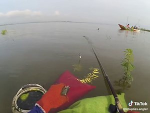 Kumpulan Video Mancing Terbaik di Sungai dan Laut