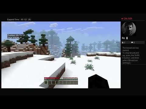 Playing minecraft Happy sunday