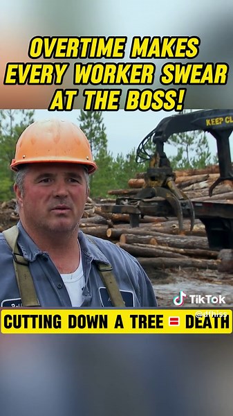 Overtime Makes Every Worker Swear at the Boss! 🕰️😡👷‍♂️ #logger #logging #wood #woodworking #woodwork #woodworker #shelby #swamplogging #swamploggers #history