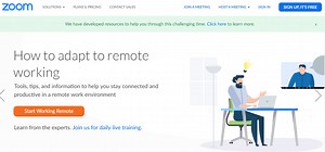 Best video call software interview