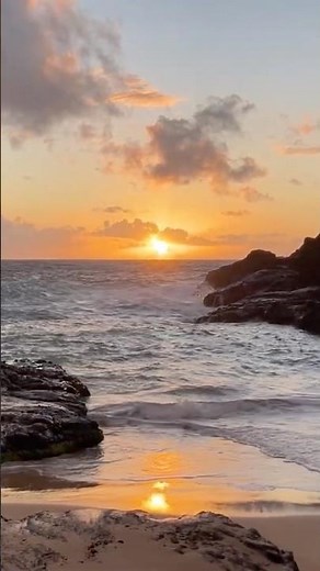 할로나 비치 코브 Halona Beach Cove 하와이 Hawaii 🤙🏼