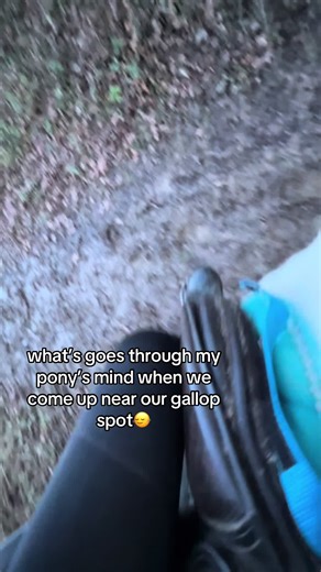 Understanding Your Pony's Mind at Gallop Spots