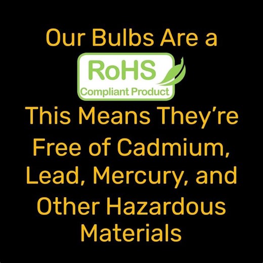 Non-Toxic: What's Not In Our Bulbs Matters