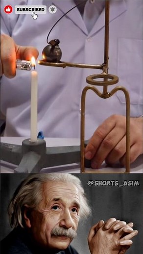 Thermal Expansion Explained in 5 Minutes | Physics Made Simple#shorts #physics #sigma #ytshorts