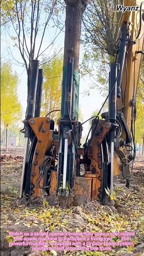 Satisfying Tree Digging: How a Tree Spade Machine Works