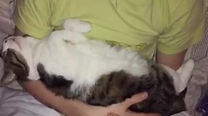 Monty is sleeping and dreaming ❤️ | Monty