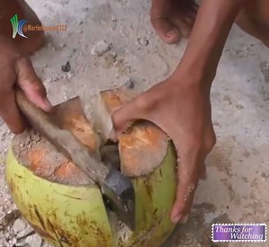 1M views · 1.2K reactions | Trending Videos on Reels | Facebook