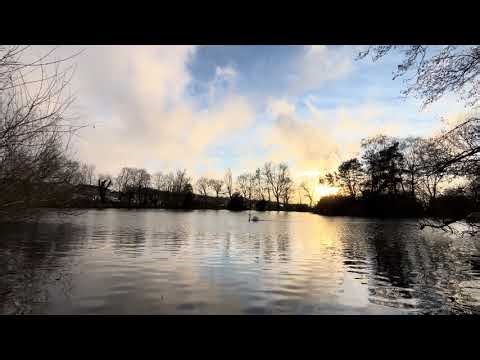 Soundskrit Firefly - ambient stereo 2