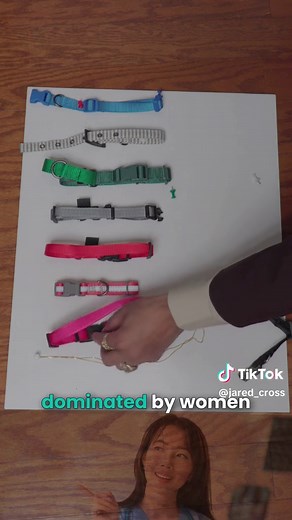 Understanding the Color Collar System