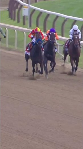 Look at her go! EXPLORA Roars in the G1 Test Stakes!