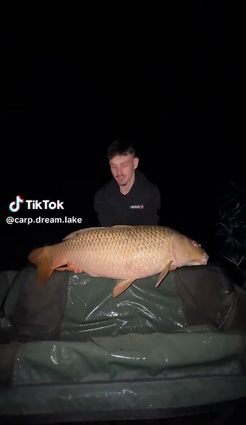 Nice carp over 16kg good start of fishing