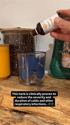 Dr Sam Watts on Instagram: "Feeling a cold, sore throat or general respiratory infection coming on? If so, the famous Ayurvedic herb Andrographis has some powerful, clinically proven evidence behind it, for example: Clinically proven for upper respiratory tract infections: Andrographis is one of the most well-researched herbs for colds, sore throats, coughs, and sinus symptoms, with clinical studies showing it can reduce both the severity of symptom and duration of the actual infection, which is