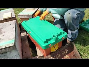 ProNucs: All the Features and Details