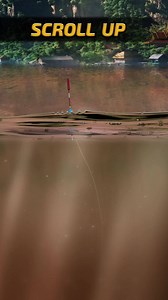 Catch the biggest fish! 🎣 Compete with friends, rise in rankings, achieve anglers glory! 🏆 | Fishing Clash