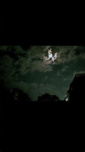 Purdue Full Moon Night Frogs & Cricket Sounds #Short