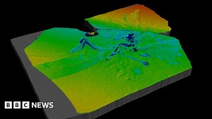 Archaeopteryx: The day the fossil feathers flew
