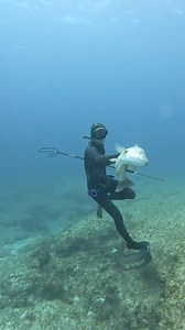 8.1M views · 110K reactions | Spearfishing White Snapper! #spearfishing #fishing | Nick Bailey Spearfishing | Facebook