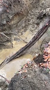 11K views · 32 reactions | A little root intrusion in the pipe | Timothy Cheruiyot | Facebook