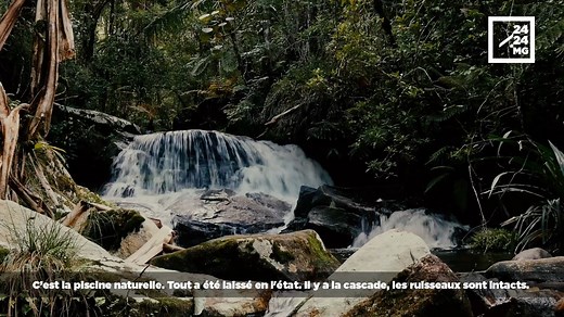 PARC NATIONAL MANTADIA - ANDASIBE En collaboration avec Madagascar National Parks, nous avons exploré ce joyau vert de la nature Malagasy. Derrière la beauté touristique de cette forêt dense, se cache la réalité des feux de forêts à Madagascar et de la coupe illicite. Visité guidée et explications sur la mise en œuvre du reboisement. | 2424.mg