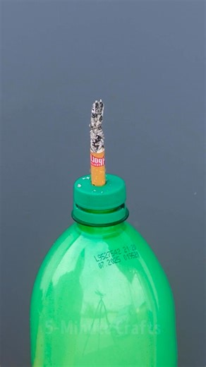 INSANE Reaction! 💥 | 5-Minute Crafts