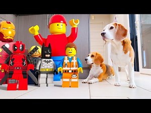 Funny Beagles Take on Animated Characters in Real Life!