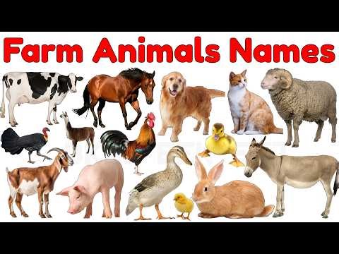 🐄 Farm Animals for Kids | Learn Farm Animal Names & Sounds | Preschool Learning Video