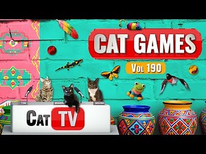 CAT Games | Ultimate Cat TV Compilation Vol 190 | 8 HOURS 🐝🐞🦋🦎🦜🐜🐭🧵