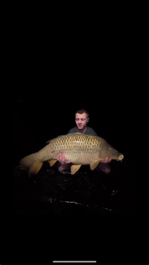 February called, it wants you in a hot tub by a lake 🎣 🐾 🔥 Wake up to water views. Fish all day, every day (carp to 25lbs - or test yourself on the specimen lake up to 38lbs ). Soak in the hot tub while the dog runs the garden. End the day in a king-size bed with zero alarm clocks. Sleeps 2 adults 2 children. Dog-friendly (up to 2 dogs). 📍Heart of Devon 🍺Pubs & woodland walks 5 mins away 💴 February special offers available now Fern Lodge on Mon-Thurs nights: 2-nights = £250 3-nights = £300