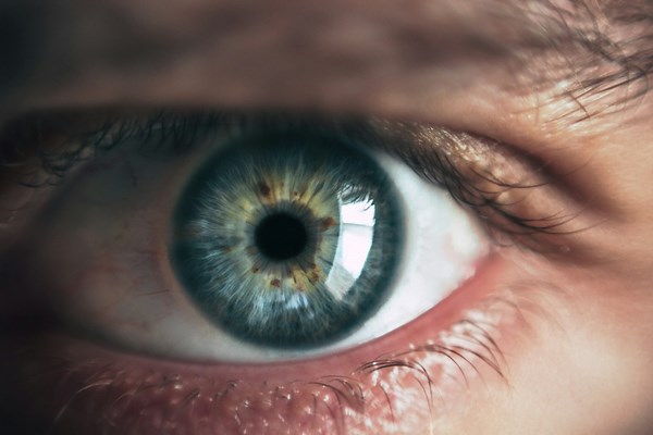 Scientists link subtle eye changes to memory accuracy