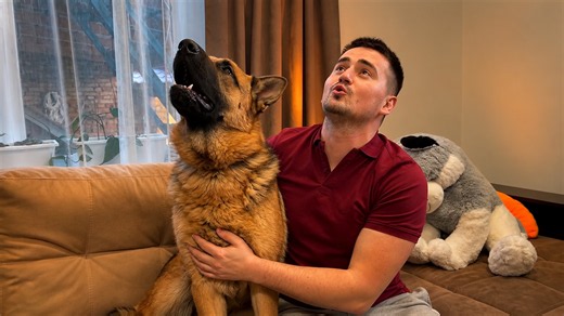 German shepherd tries howling for the first time