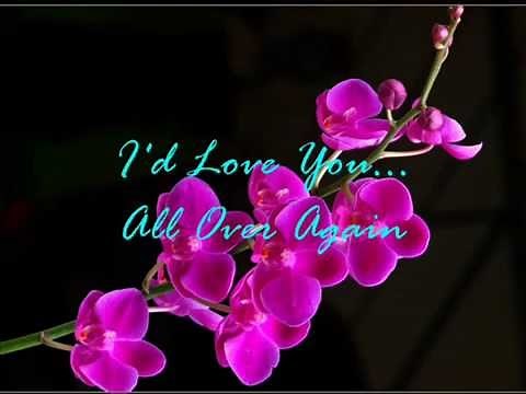 Alan Jackson - I'd Love You All Over Again ( audio - lyrics )
