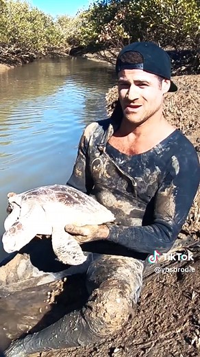Rescuing a Sea Turtle Stuck on Dry Tidal Mud Flats